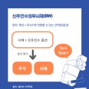 비사채 이미지