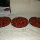 대농밭 티스토리