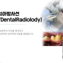 앙리동물병원 이미지