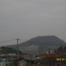 세한대학교 골프연습장 Daum카페