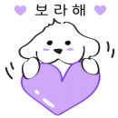마이미프로젝트강남 이미지