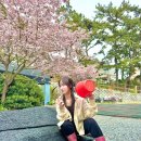 어은돌바다풍경 이미지