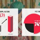 머스트 - 12965 | 머스트