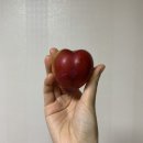 여름 기운 느껴지는 7월