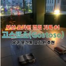 고스또소GOSTOSO