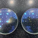 아이앤아이안경콘택트 이미지