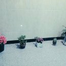 한영세탁소 이미지