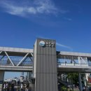 피크닉짐 이미지