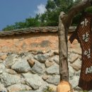 가랑잎새 이미지