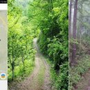 연화산유원지 이미지