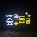 장령산 가든 | 대전근교 옥천 가볼만한곳 장령산자연휴양림 숲속동굴 위치 가는법 (솔직후기)