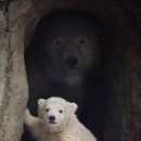 신비소리 이미지