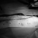 빛고을 동물의료센터 이미지