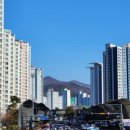 분당-판교-2024 이미지