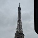 에펠타워 사거리-3 | 풀만 파리 타워 에펠(Pullman Paris Tour Eiffel) 발코니룸 저층 후기
