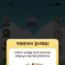 구디즈앤구르메 - 수성구 신천동로96길 54 | 구디즈앤구르메