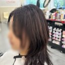 아우어헤어 이미지
