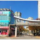 솔로몬부동산중개 이미지