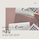 명동 헤어모드 | 명동 컬러라이즈 퍼스널 컬러 진단 후기, 겨울 딥 진단 솔직 후기
