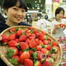 청동농장 이미지