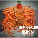 팔달수산 이미지