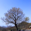 너덜겅 | 경남 밀양 만어산 (만어사 萬魚寺)