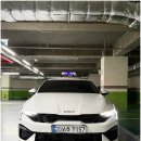 강남렌트카 | 강남전연령렌트카 추천, 신논현 알파렌트카 직접 이용해본 후기