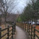 품안작은도서관 이미지