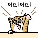 조아컴퍼니 - 금천구 벚꽃로 298 | 조아컴퍼니