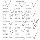 신사합기도유도 | 100문100답&amp;모솔에 대한 고민