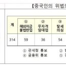 외국인 국내 부동산 불법투기 조사 기사 , 보도 자료 이미지