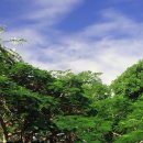 속삭이는 바다 이미지