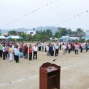 신양초등학교 이미지