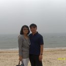 대천해수욕장 이미지