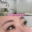 일산중앙화장실 | 일산 속눈썹연장 슬뷰티 특수컬 볼륨연장 솔직후기