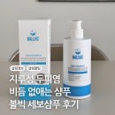 지루성 두피염 샴푸 추천 머리 비듬 없애는 법 비듬샴푸 볼빅 세보샴푸 후기