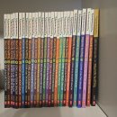 Dragon Masters, My Weird School, Magic Tree House 등 어린이 영어책 판매합니다. 이미지