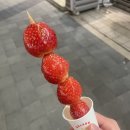왕가탕후루파주금릉 이미지