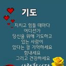 빈야드안경 네이버블로그