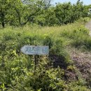 뚜기네 민박 이미지