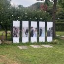 대물곰탕 | 2025. 10 가을은 떠나가는 계절•••