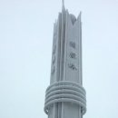 배재카 Daum카페