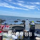 현주투성이 캠핑장 부산기장캠핑