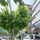 보생요양병원 이미지