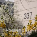 잠원동011 이미지