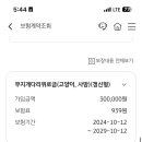 kb손해보험 펫보험 이미지