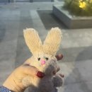6월 첫번째 무난한 일상을 담은 주간일기, 변덕좀그만부려주겠니?