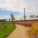 안기농장 이미지