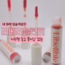 N001 | 지속력좋은틴트 묻어남없는 리베리블틴트 웜톤컬러러 테스트 후기