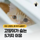 영주동물병원 - 광주시 파발로151번길 4-2 | 영주동물병원